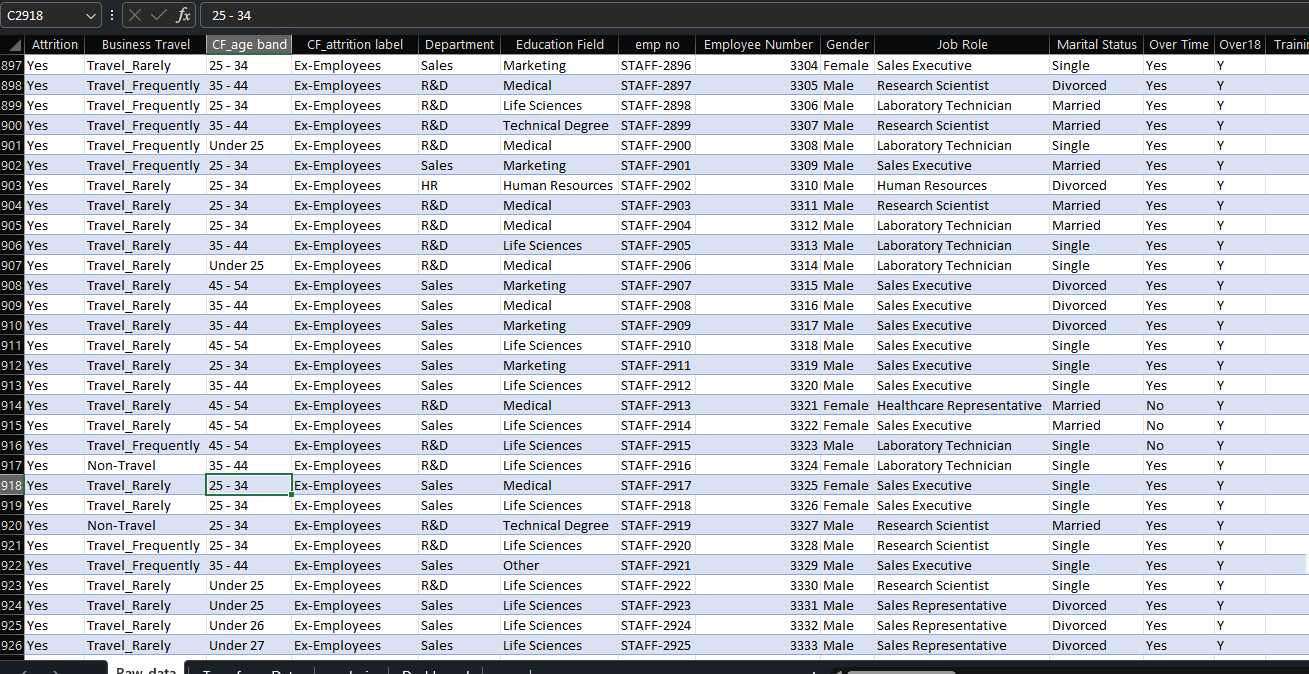 Raw HR dataset snapshot